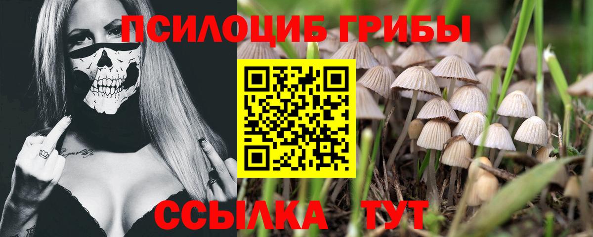 Псилоцибиновые грибы мицелий Чистополь